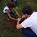 Polo EAD em Itabaiana realiza o Projeto “Plante Árvore, proteja a Vida”