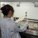 Estudo sobre nanopartículas leva aluna do PBI para doutorado-sanduíche na França
