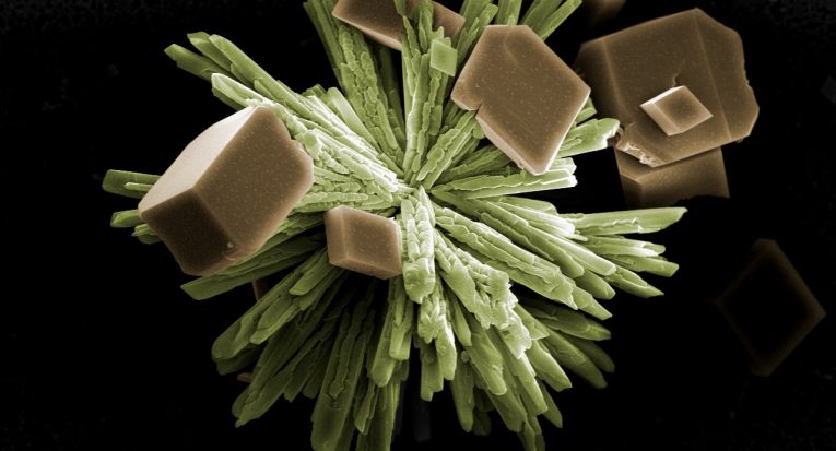 A imagem “Explosão de Cristais”, feita por microscopia eletrônica, mostra duas espécies cristalinas de carbonato de cálcio (Nuesc/ITP)