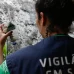 Brasil responde por mais de 80% dos casos de dengue, diz OMS