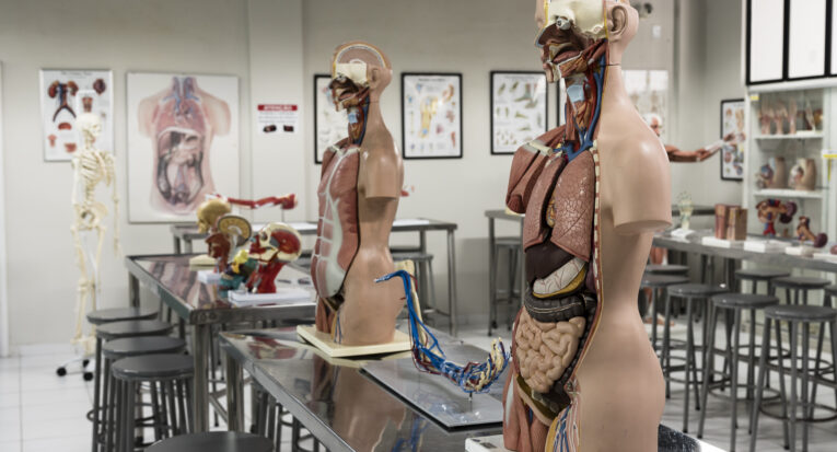 Parte de um dos laboratórios do curso de Medicina da Unit