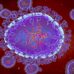Vírus HMPV e H5N1 se alastram em países, mas não causam novas pandemias
