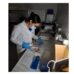 Bioplástico feito com resíduos pode substituir plástico comum e reduzir microplásticos