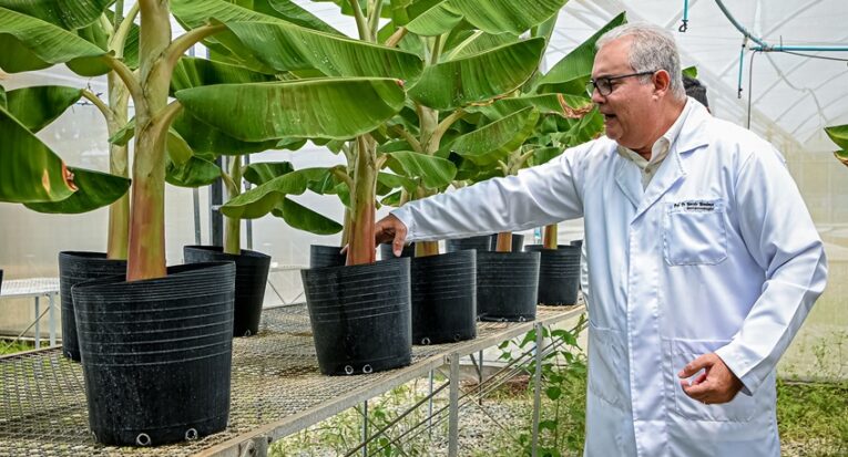 O pesquisador Marcelo da Costa Mendonça, professor do Programa de Pós-Graduação em Biociências e Saúde da Unit (Foto: Erick O'Hara/Fapitec)