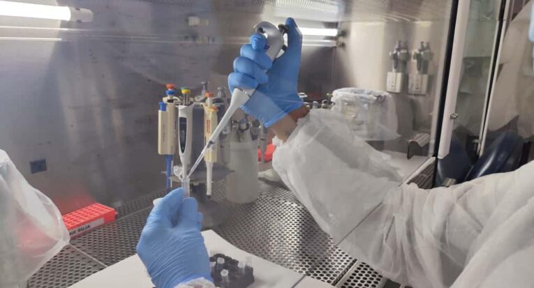 Cientistas têm examinado e acompanhando a evolução de casos dos vírus com maior circulação e proeminência em todo o mundo (Divulgação/SES-SE)